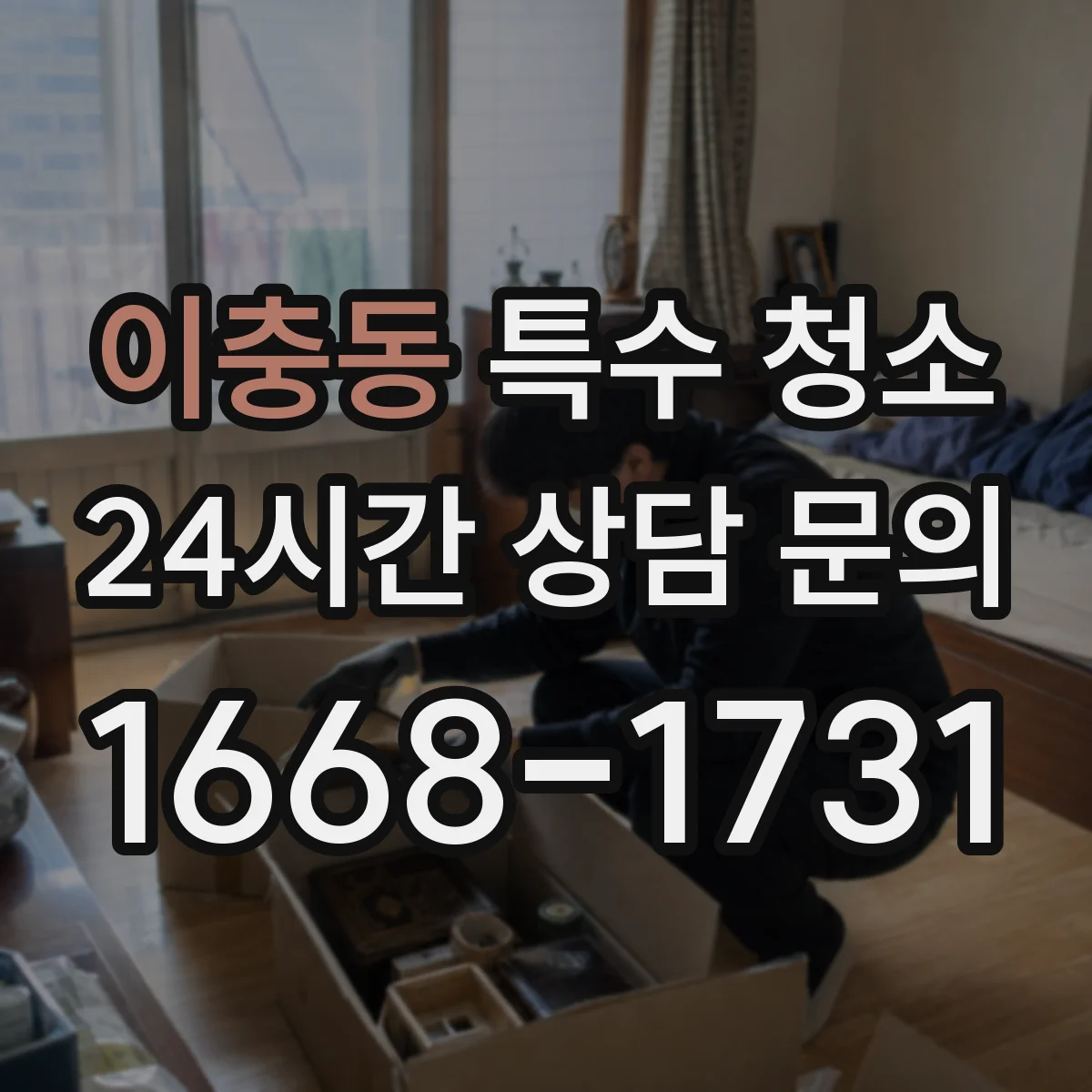 이충동 특수 청소