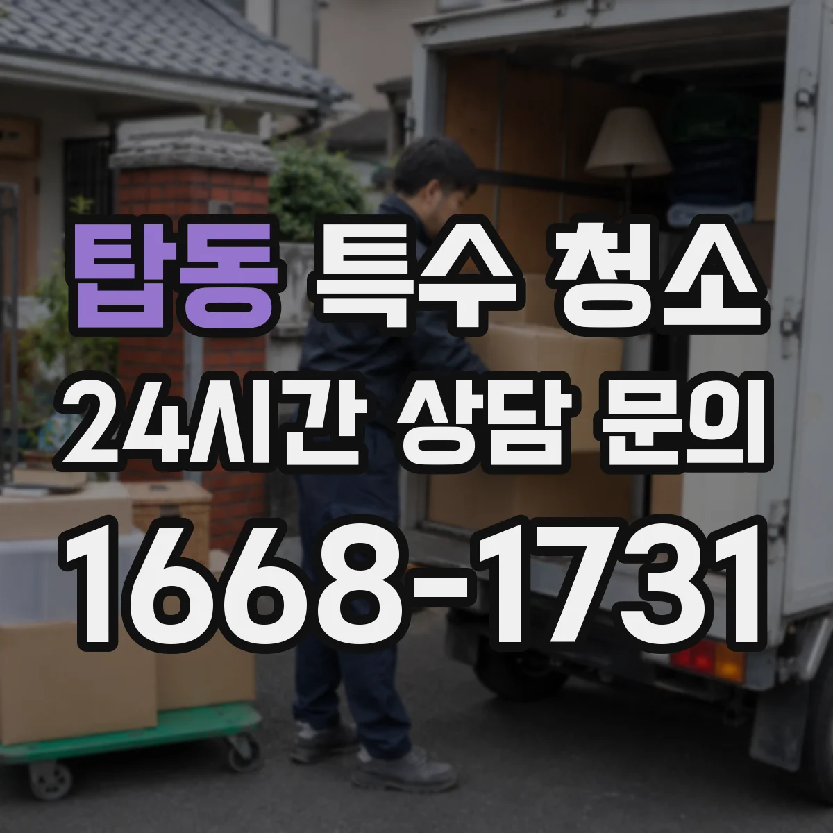 탑동 특수 청소