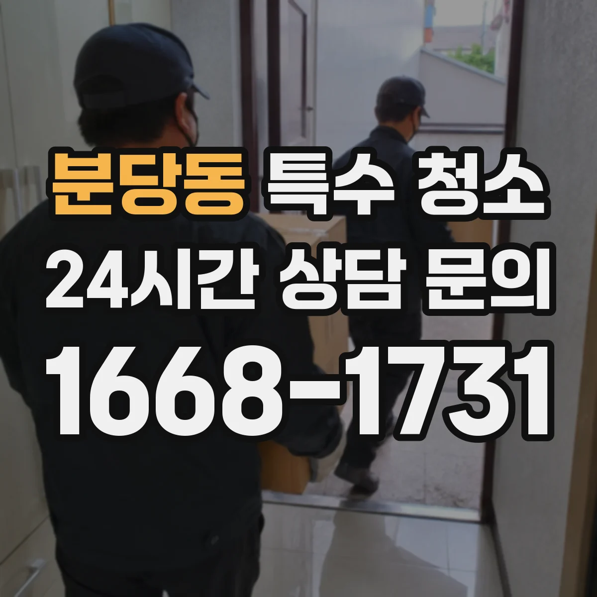 분당동 특수 청소