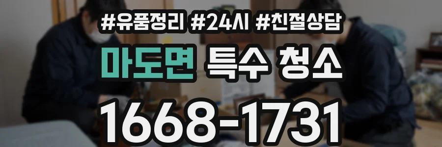 마도면 특수 청소