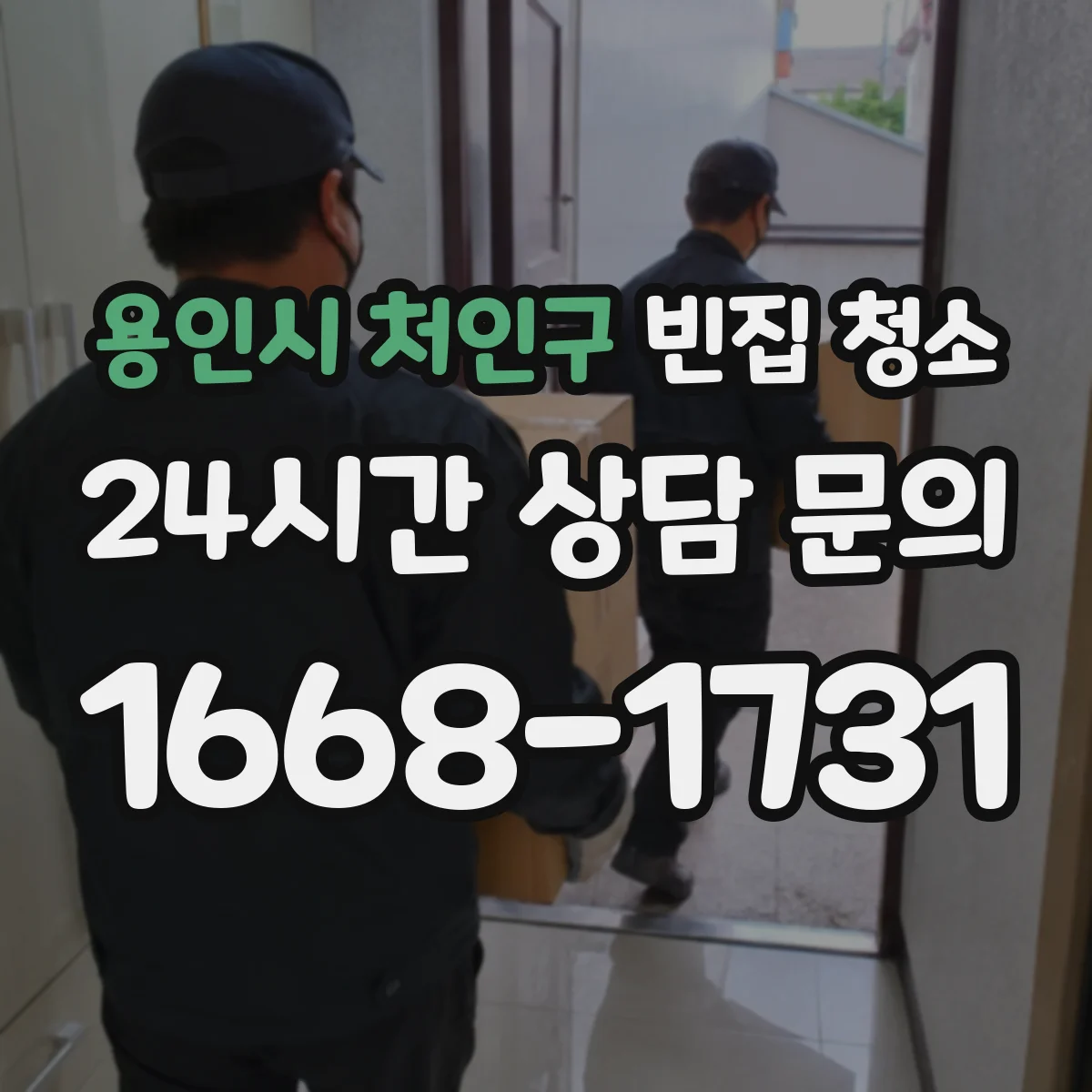 용인시 처인구 빈집 청소 해충 배설물·알 흔적 처리 방법