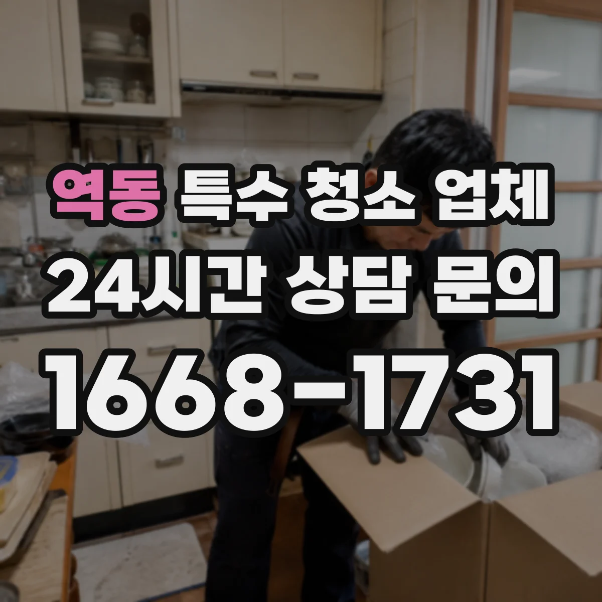 역동 특수 청소 업체