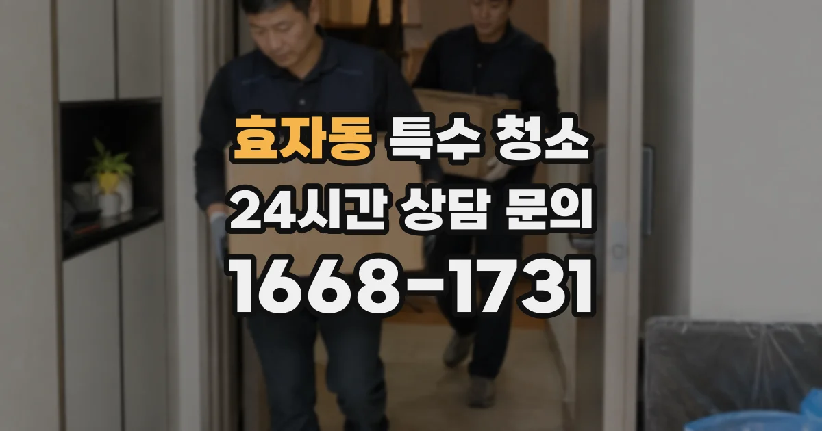 효자동 특수 청소
