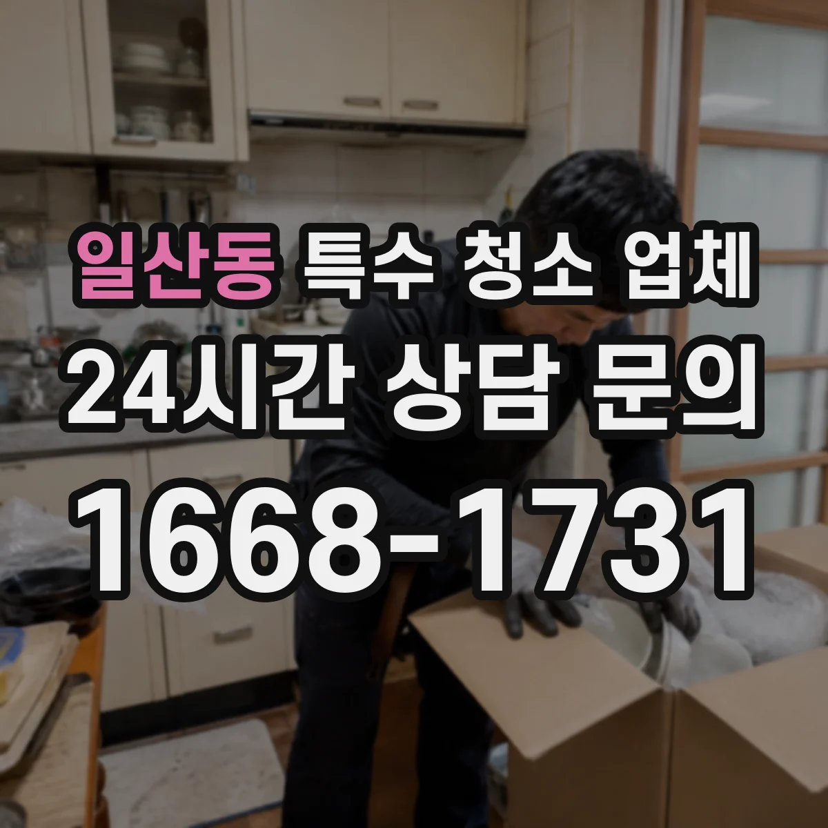 일산동 특수 청소 업체