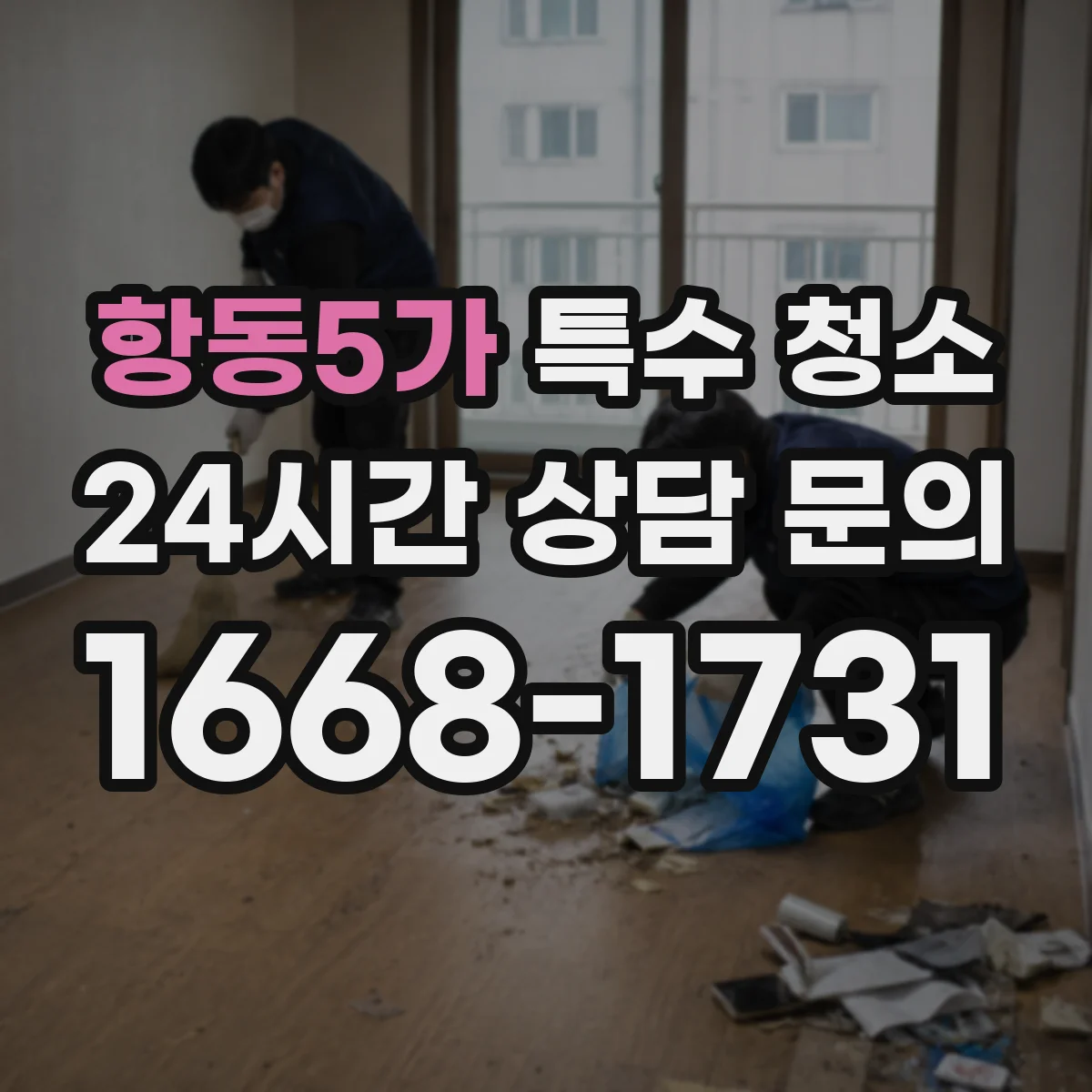 항동5가 특수 청소
