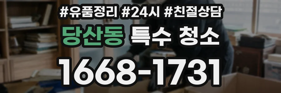 당산동 특수 청소