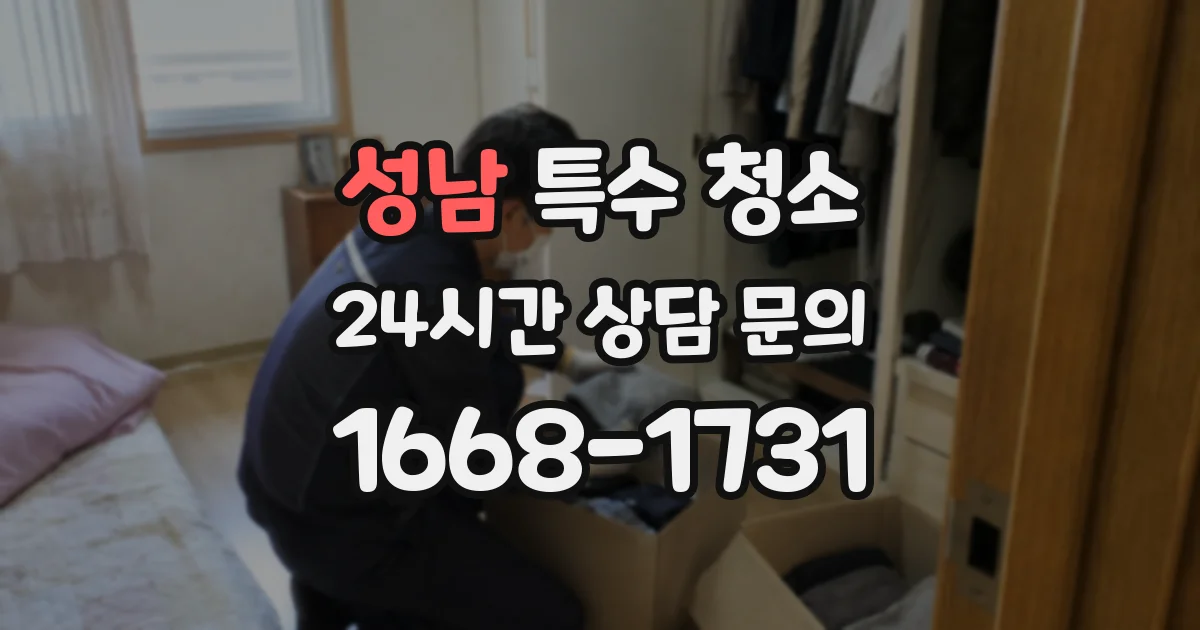성남 특수 청소