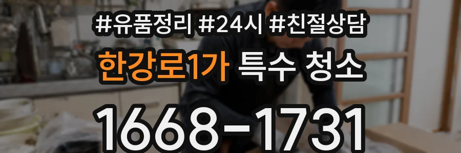 한강로1가 특수 청소