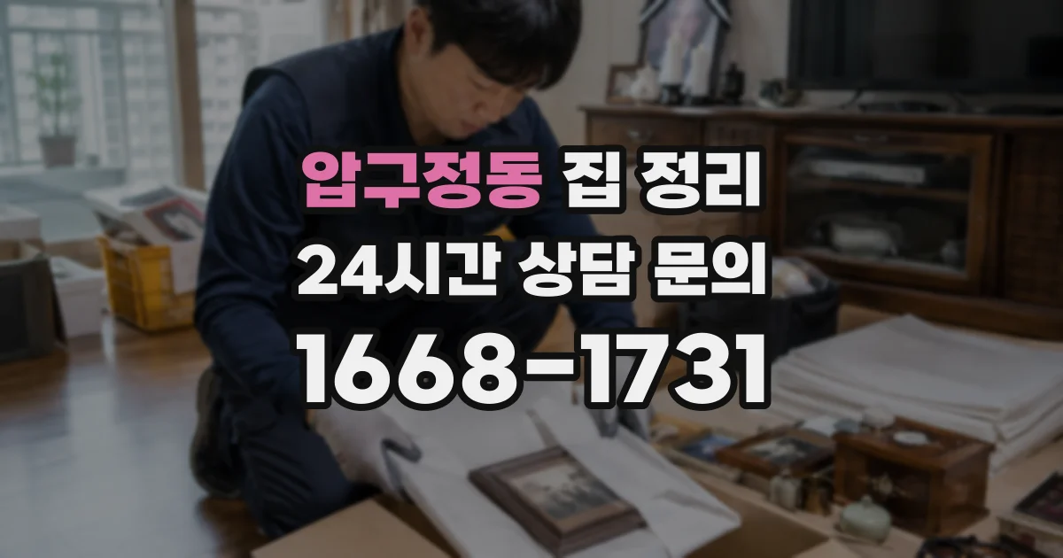 압구정동 집 정리