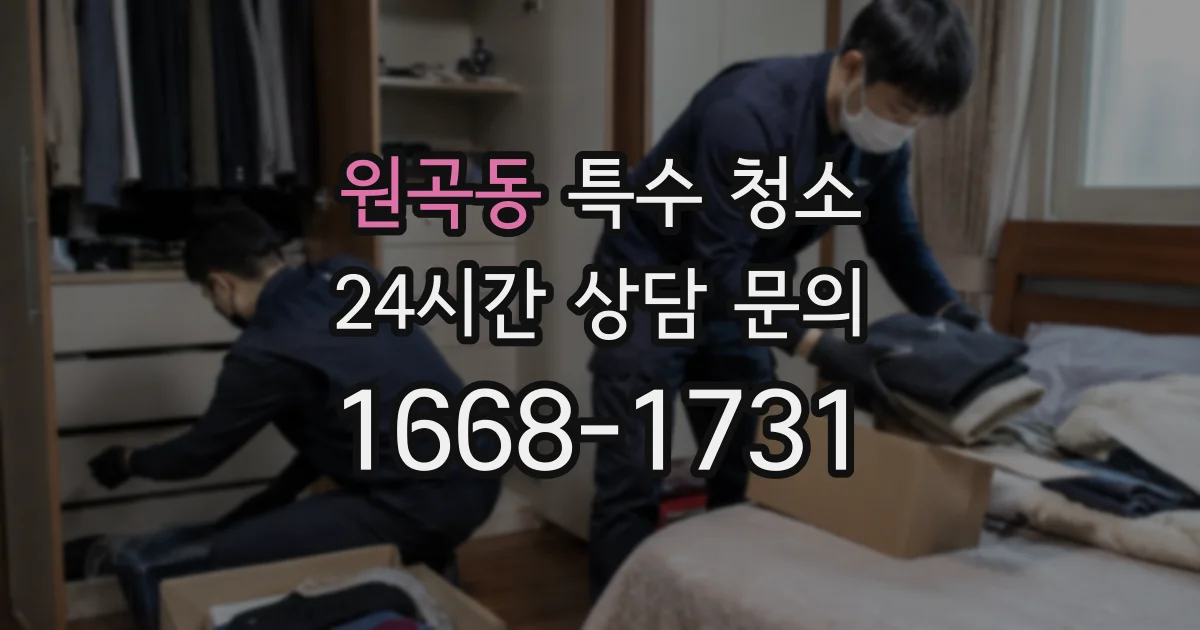 원곡동 특수 청소