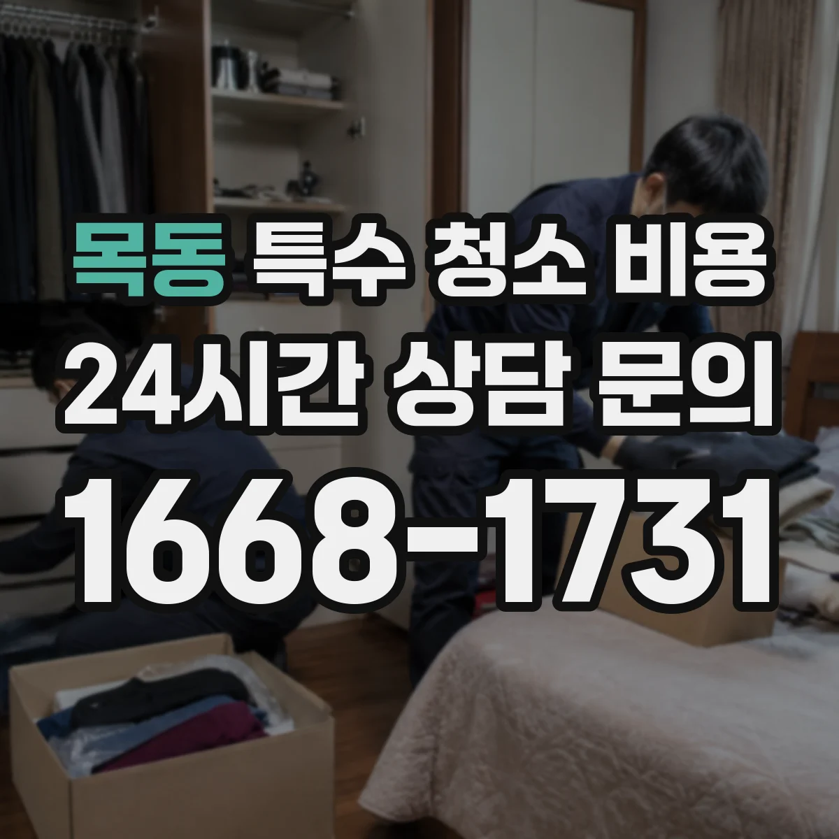 목동 특수 청소 비용
