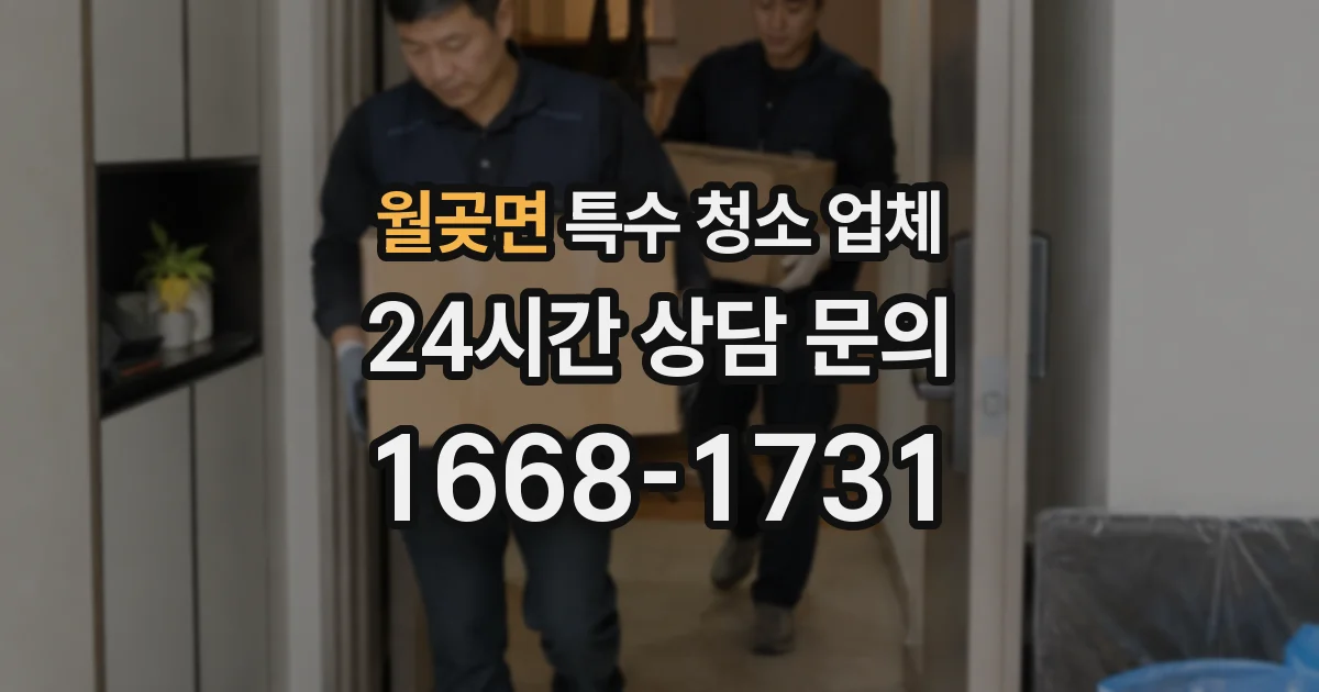월곶면 특수 청소 업체