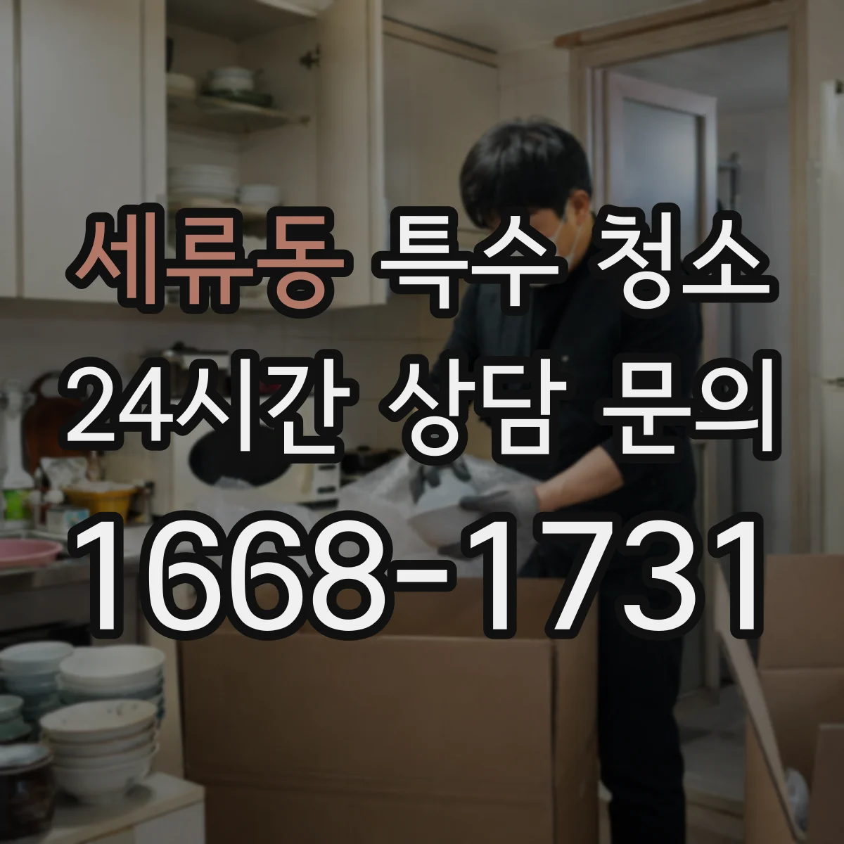 세류동 특수 청소