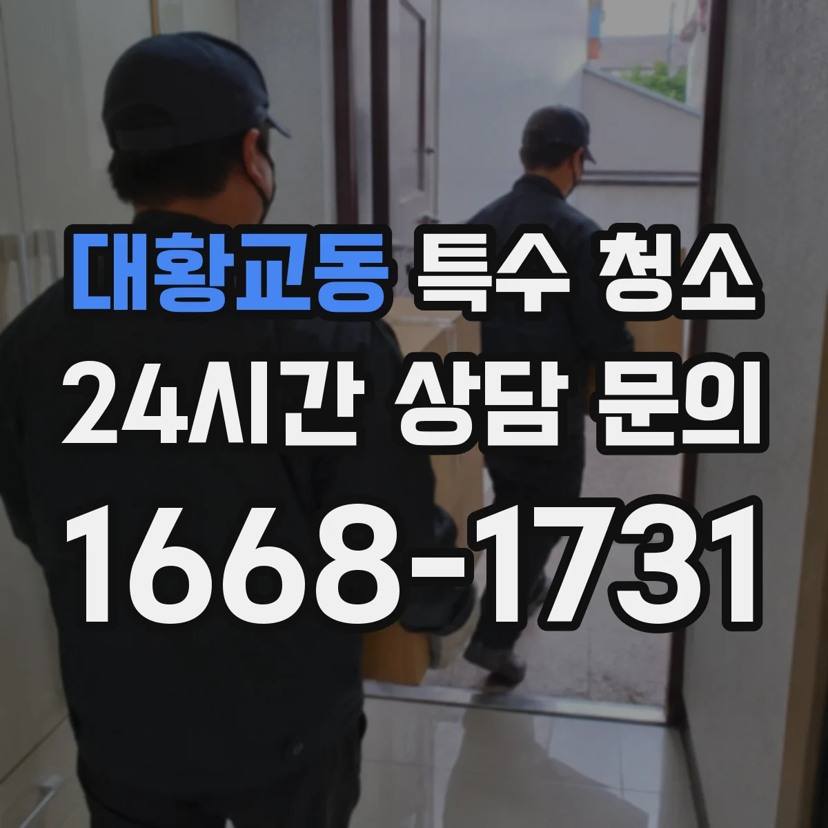 대황교동 특수 청소