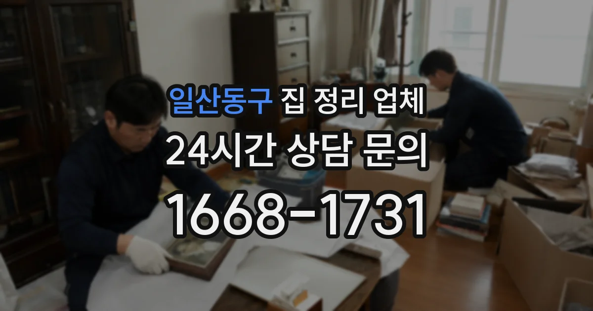 일산동구 집 정리 업체