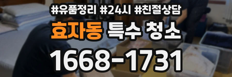 효자동 특수 청소
