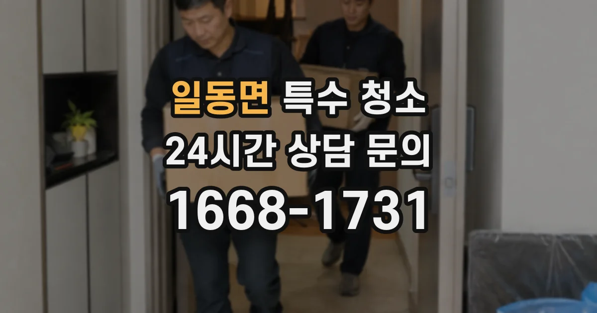 일동면 특수 청소