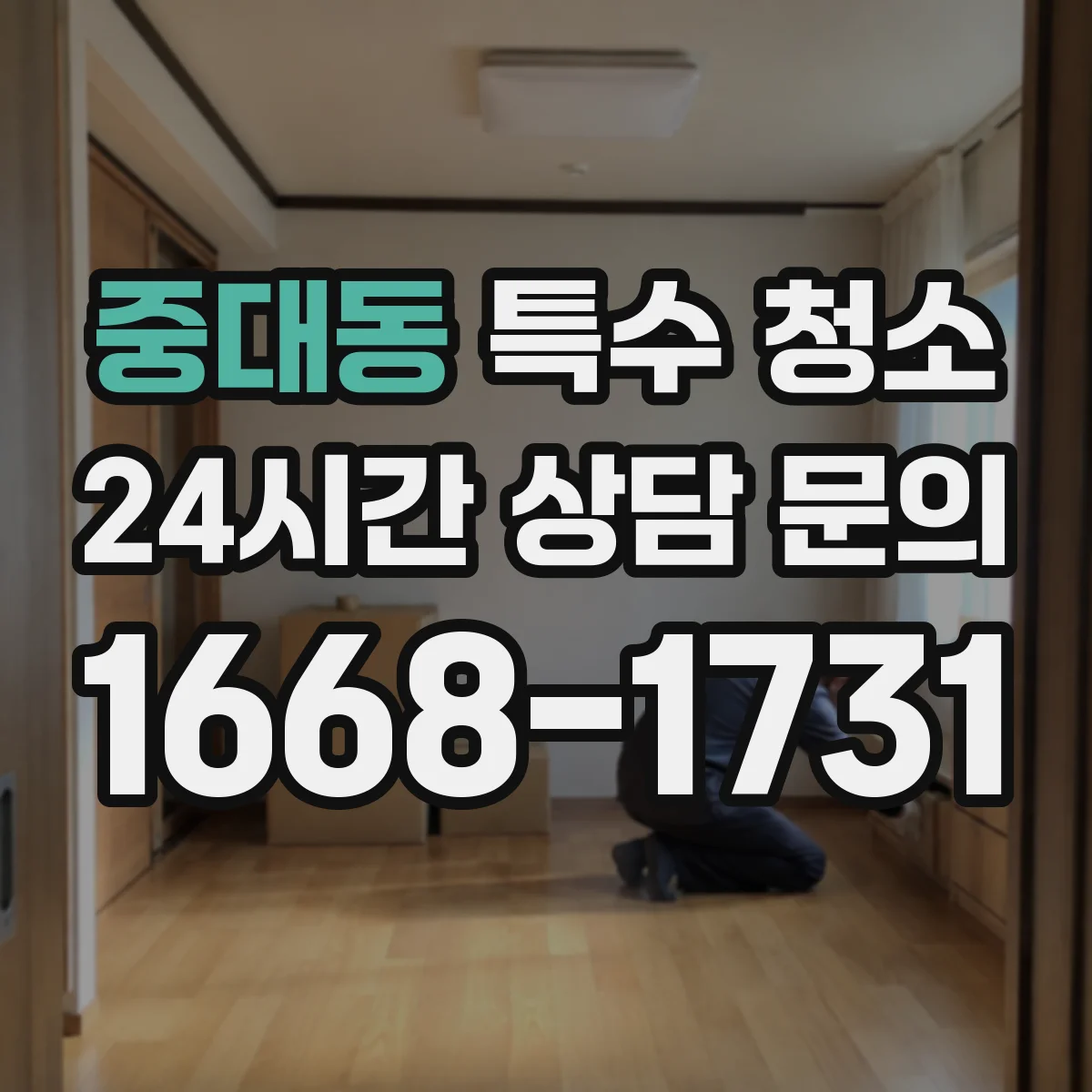중대동 특수 청소