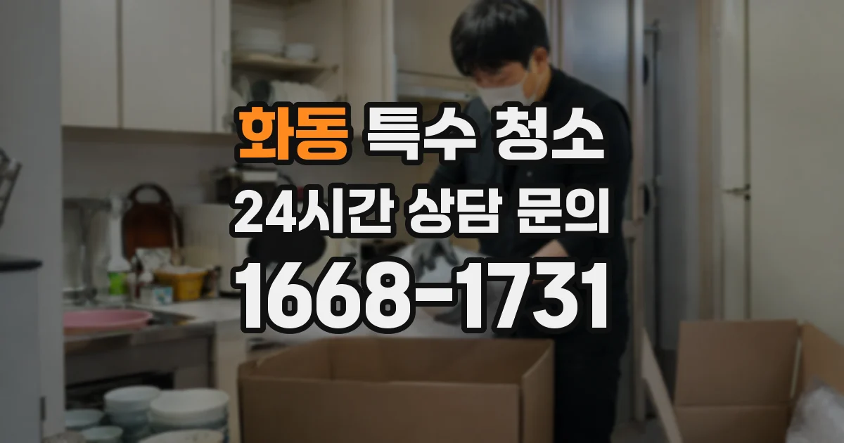 화동 특수 청소