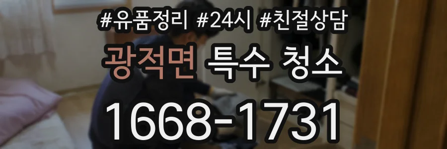 광적면 특수 청소