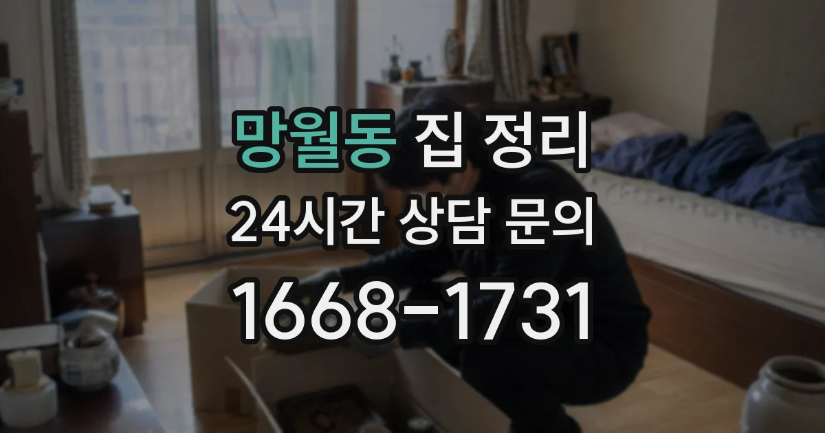 망월동 집 정리