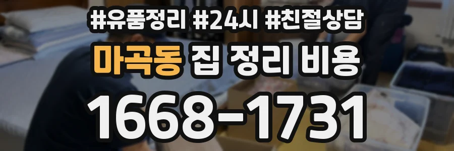 마곡동 집 정리 비용