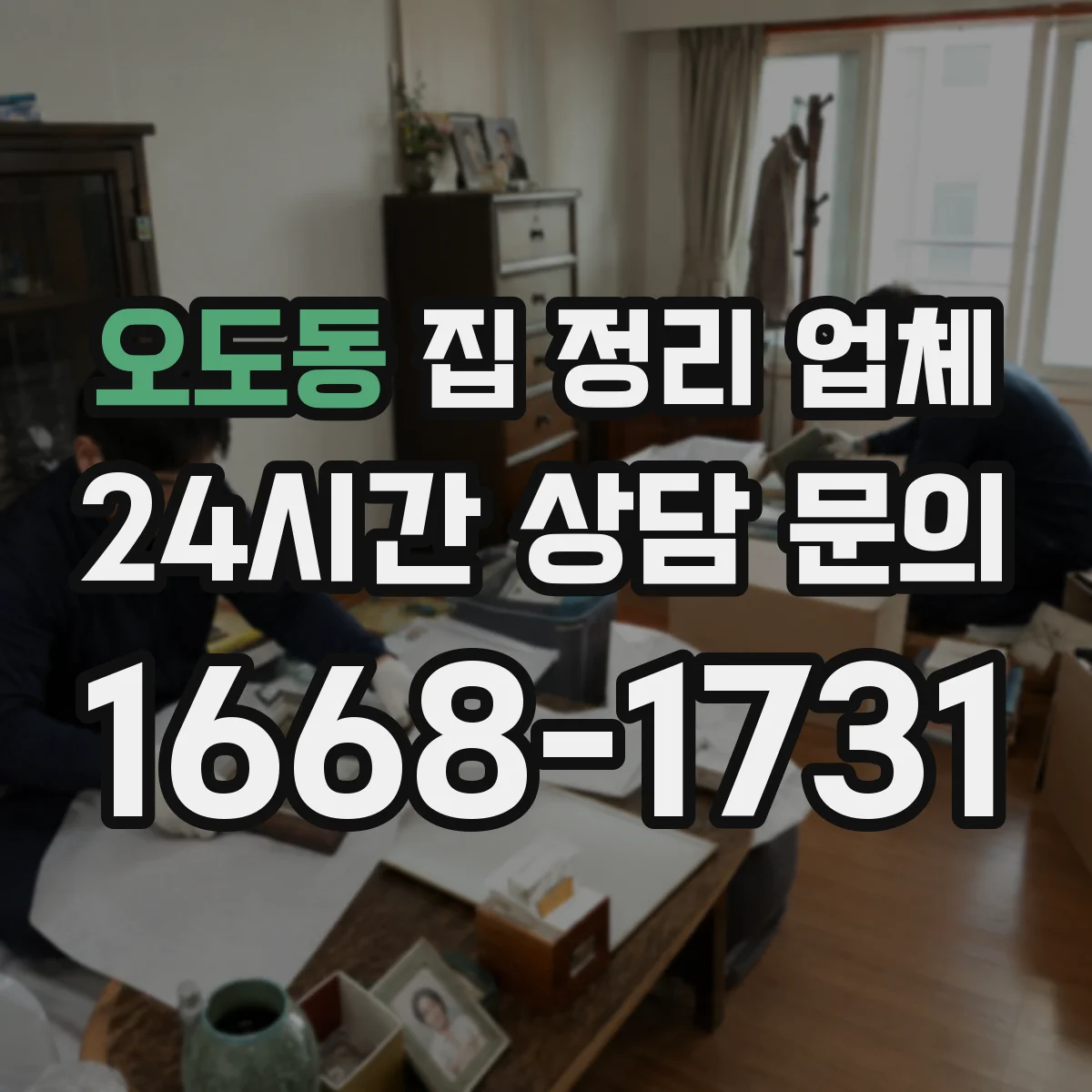 오도동 집 정리 업체