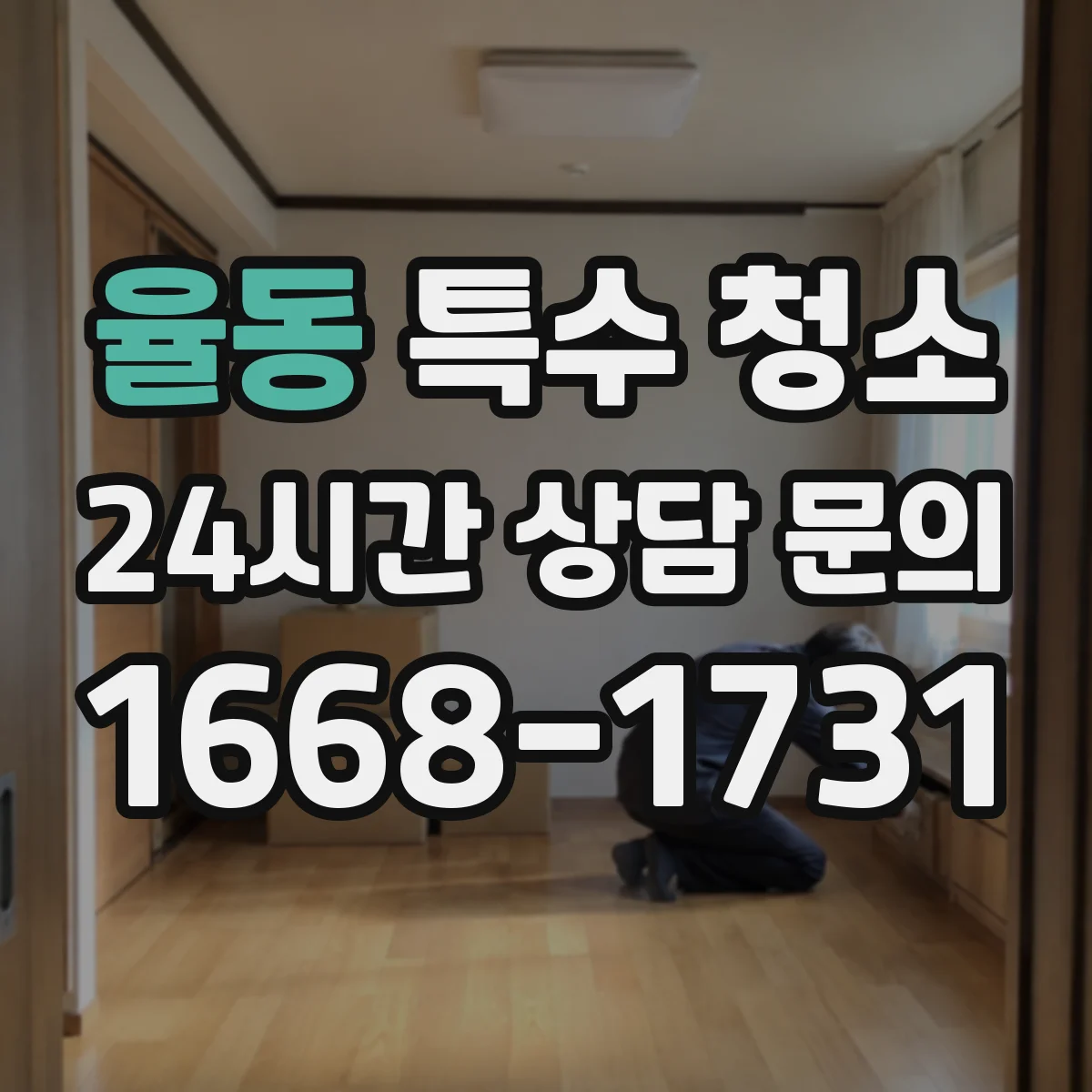 율동 특수 청소
