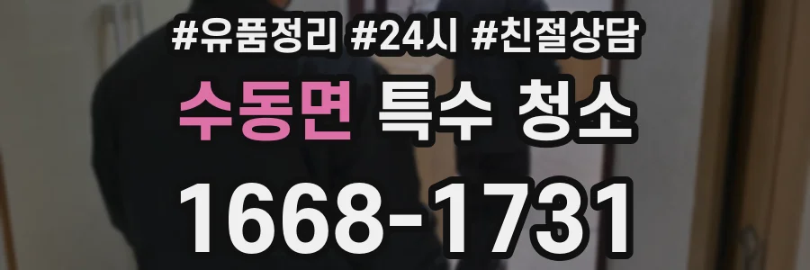 수동면 특수 청소