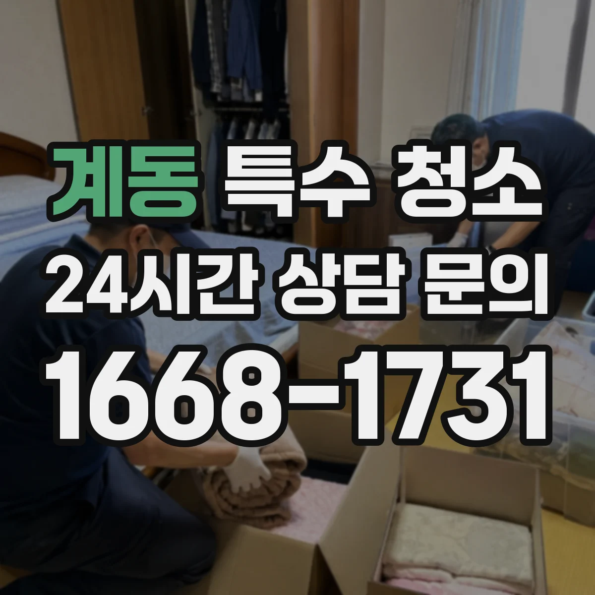 계동 특수 청소
