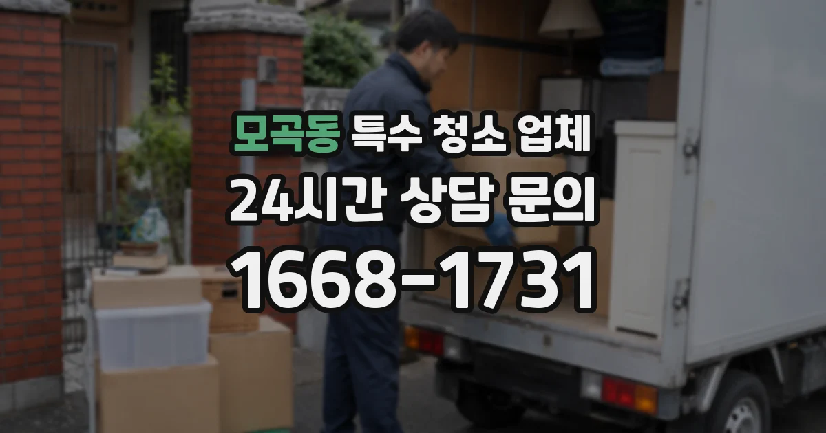 모곡동 특수 청소 업체