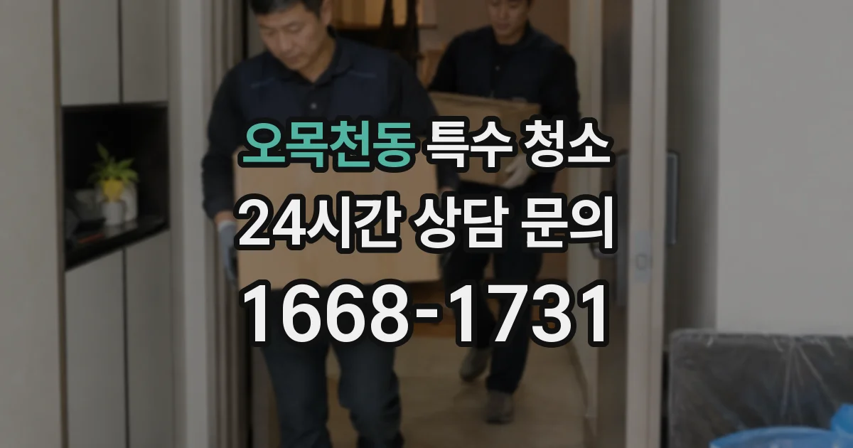 오목천동 특수 청소
