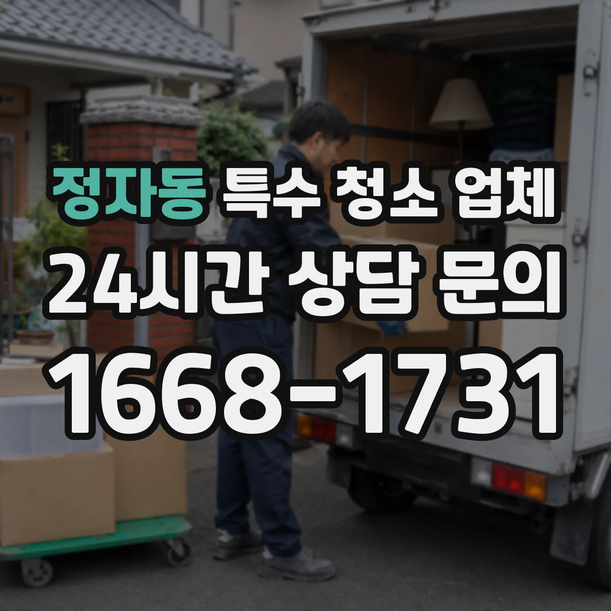 정자동 특수 청소 업체