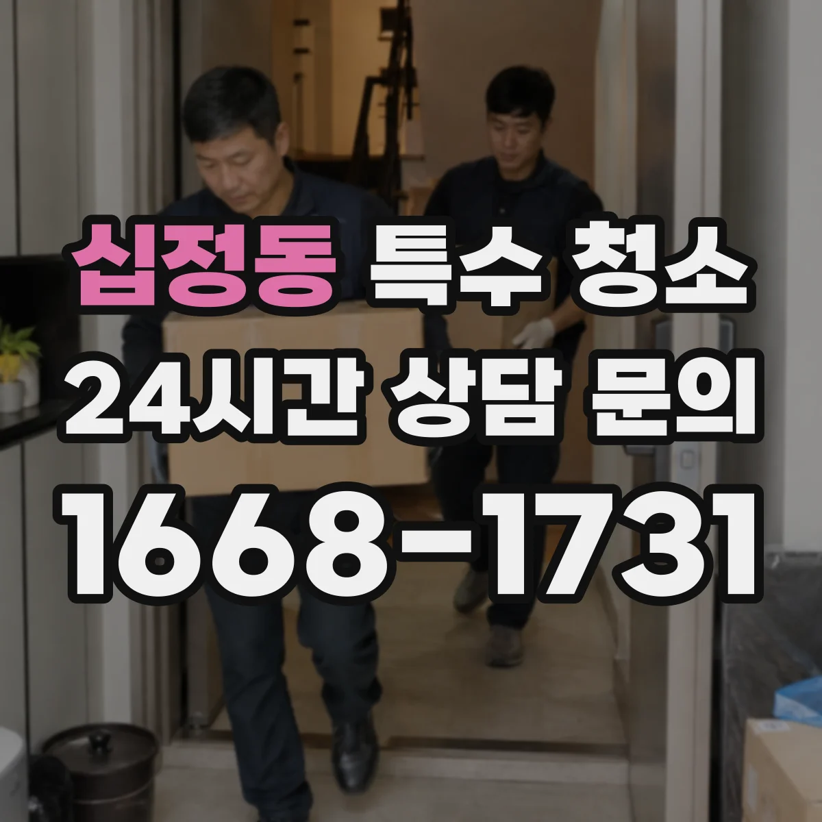 십정동 특수 청소