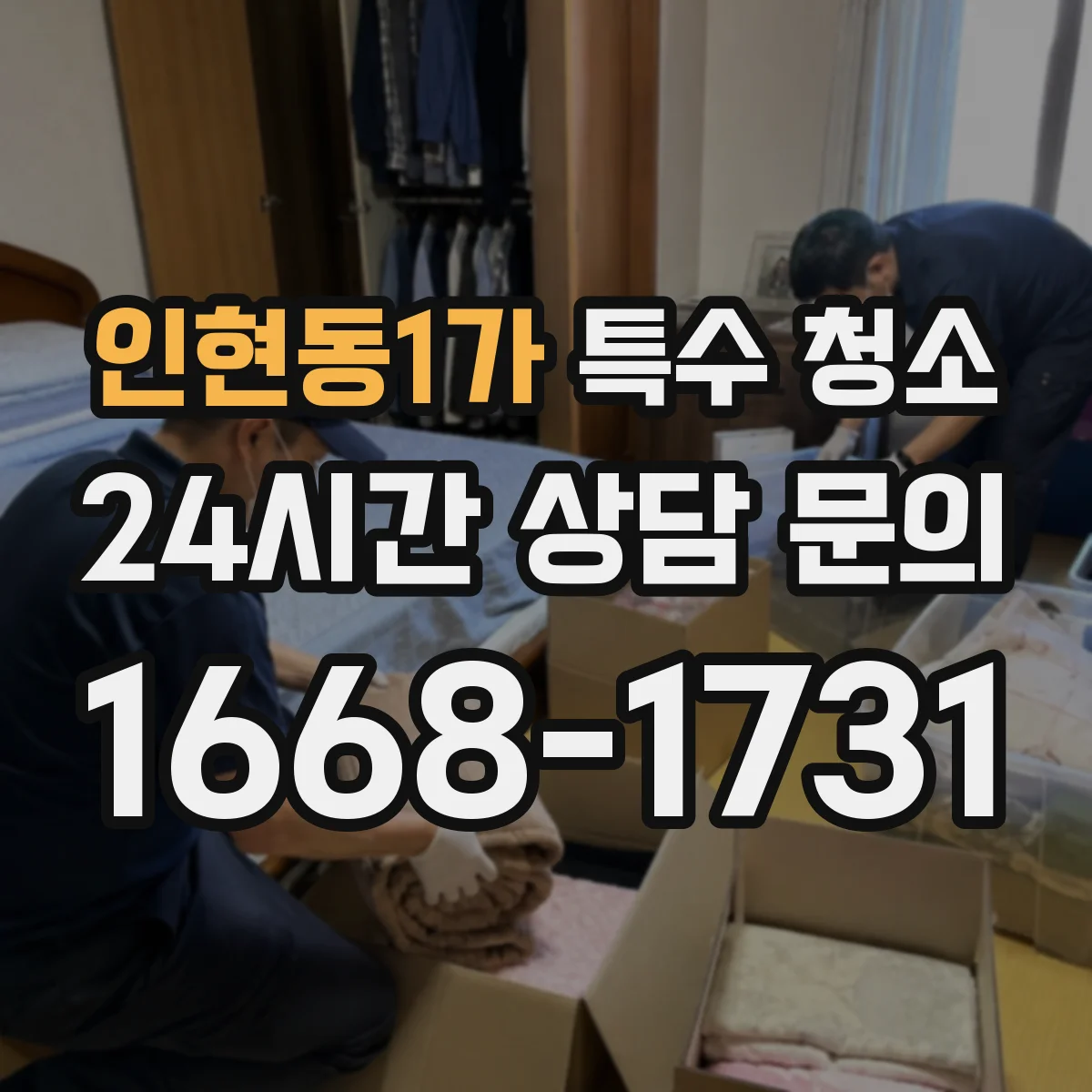 인현동1가 특수 청소