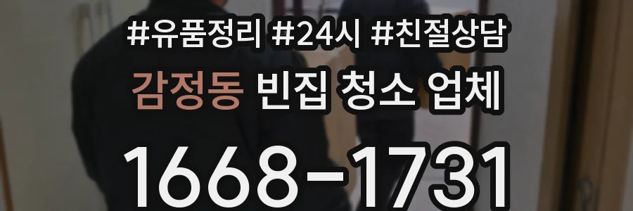 감정동 빈집 청소 업체