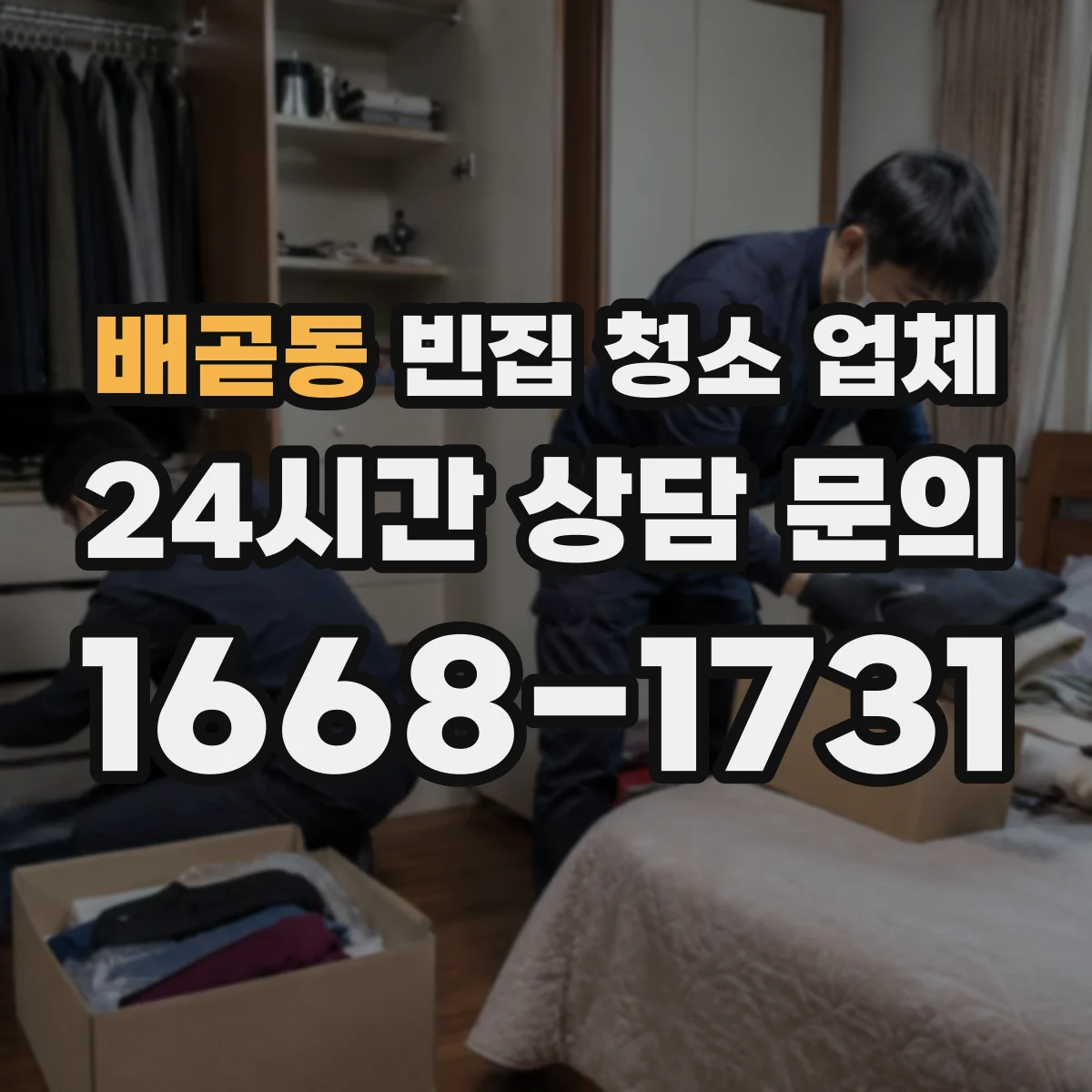 배곧동 빈집 청소 업체