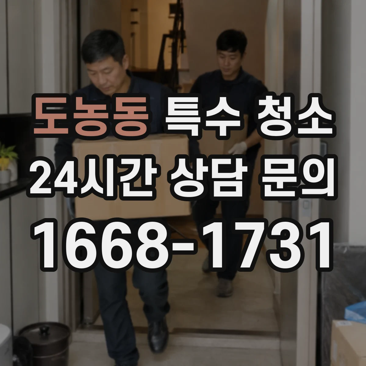 도농동 특수 청소