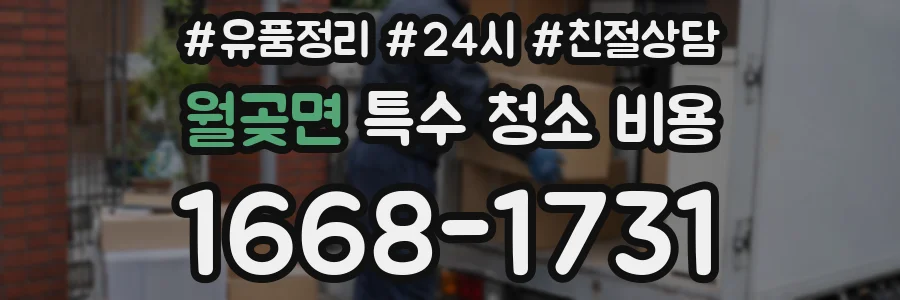 월곶면 특수 청소 비용