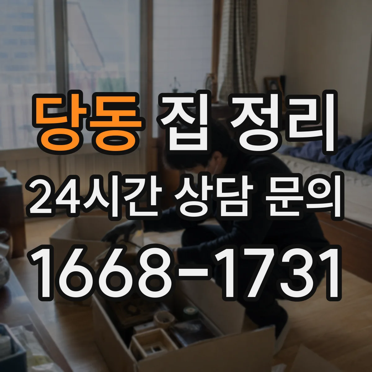 당동 집 정리