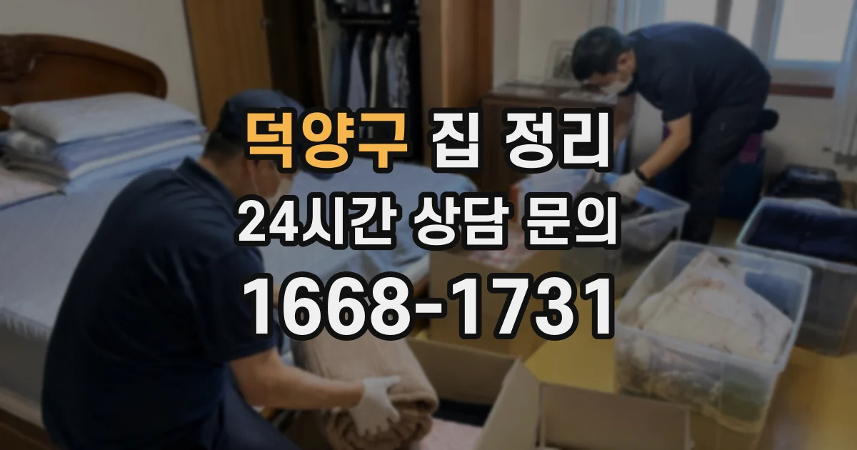 덕양구 집 정리
