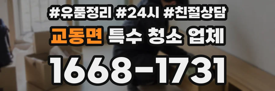교동면 특수 청소 업체