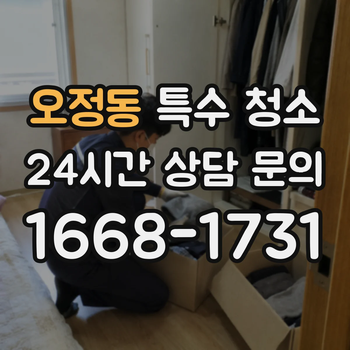 오정동 특수 청소