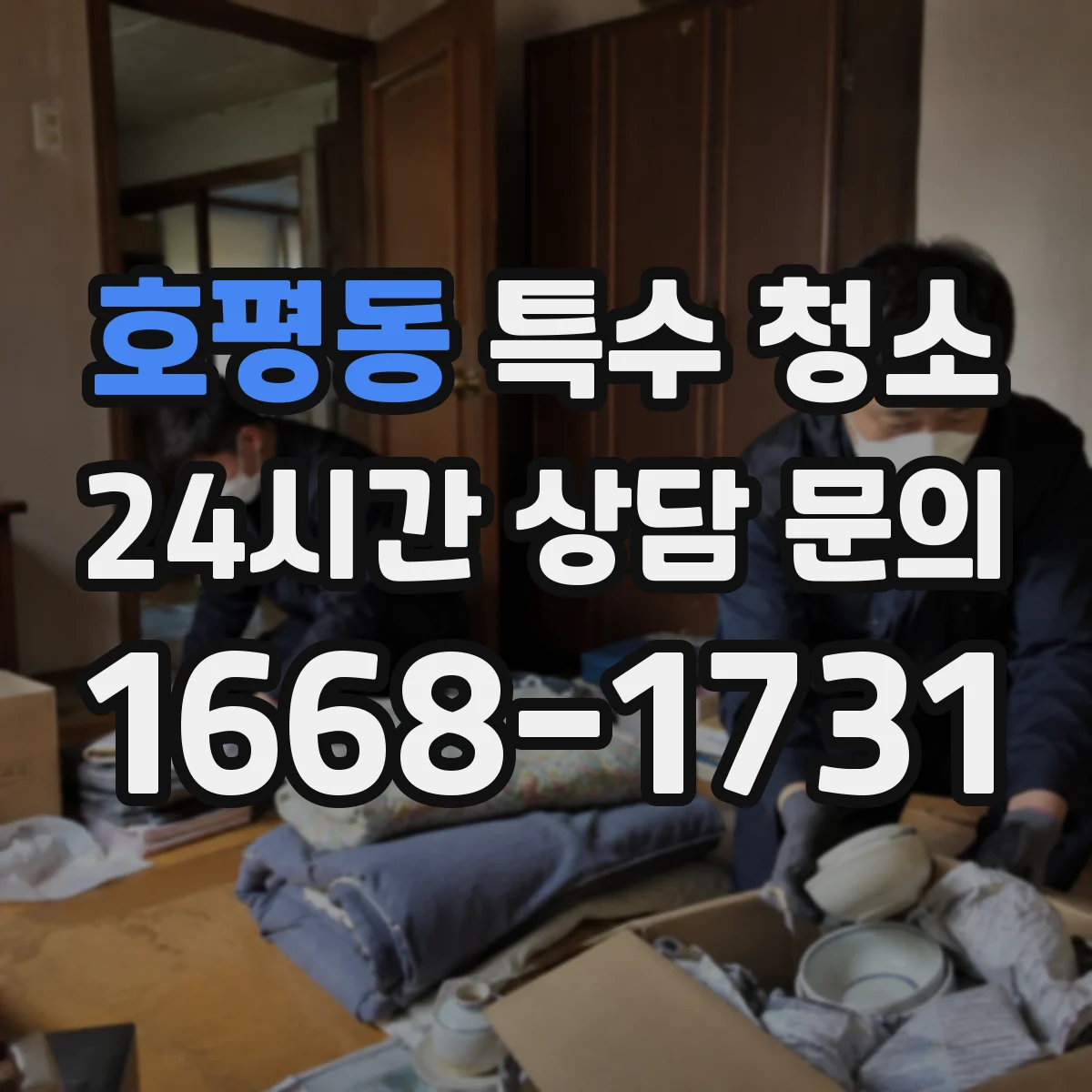 호평동 특수 청소