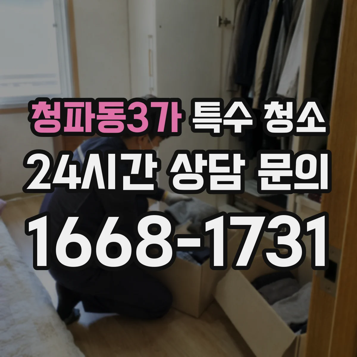 청파동3가 특수 청소