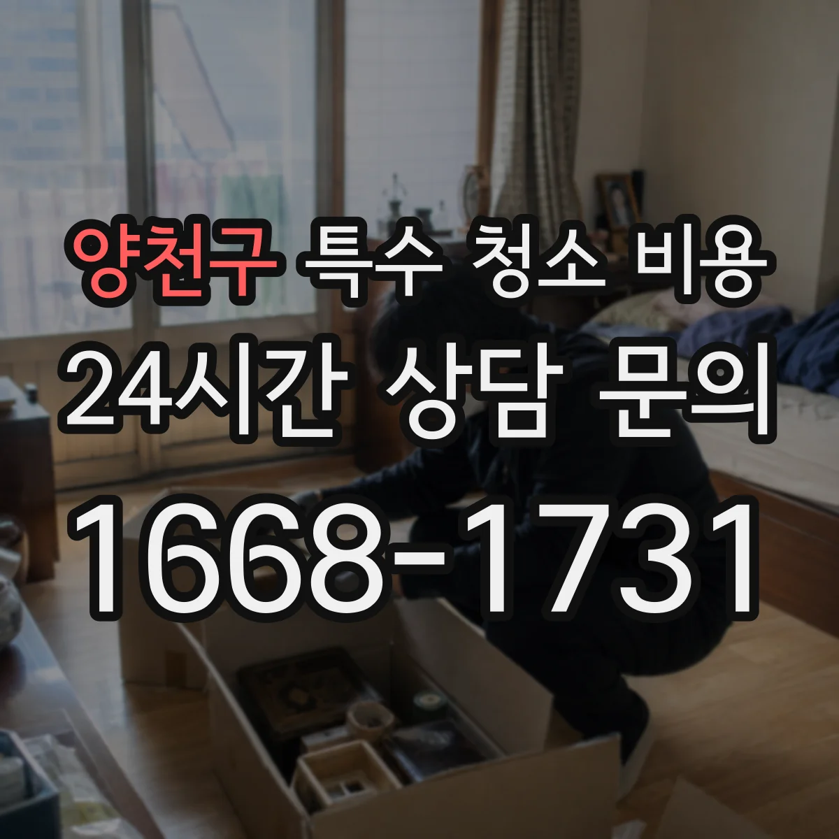 양천구 특수 청소 비용
