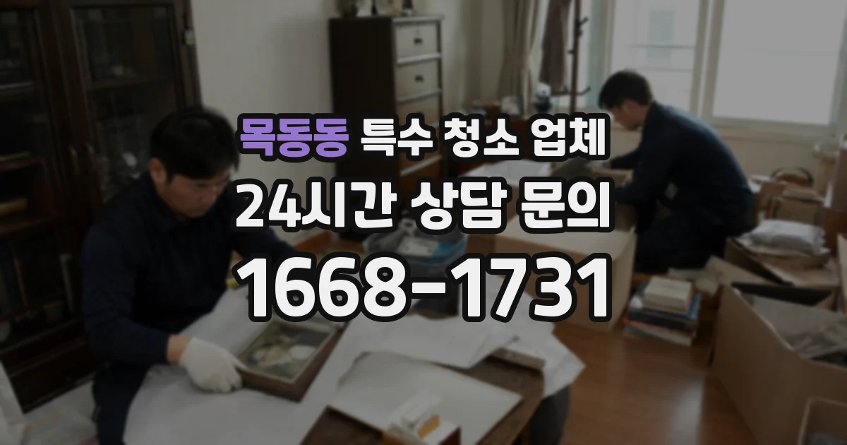 목동동 특수 청소 업체