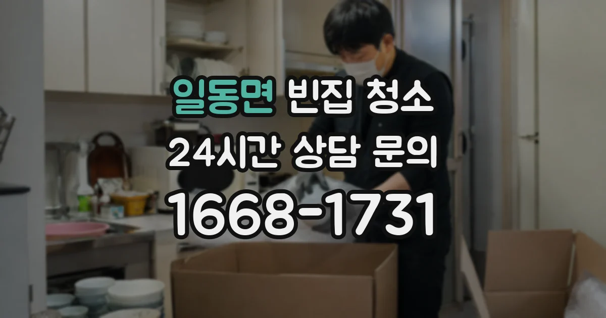 일동면 빈집 청소