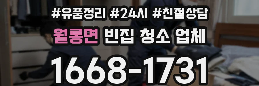 월롱면 빈집 청소 업체