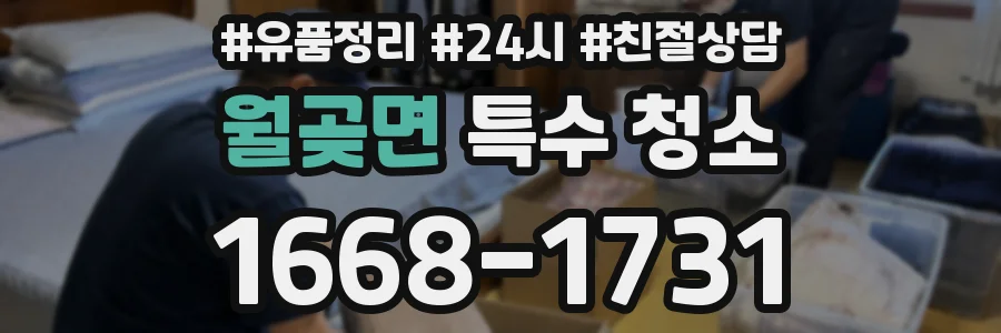 월곶면 특수 청소